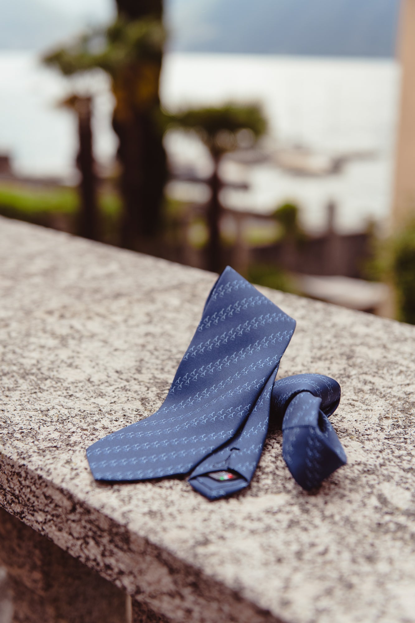 Aquadulza Regimental Silk Tie | Logo Blue